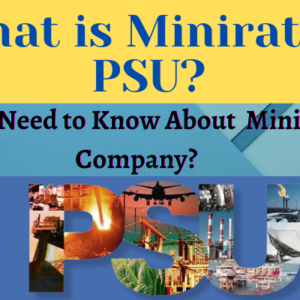 What is a Miniratna Company?